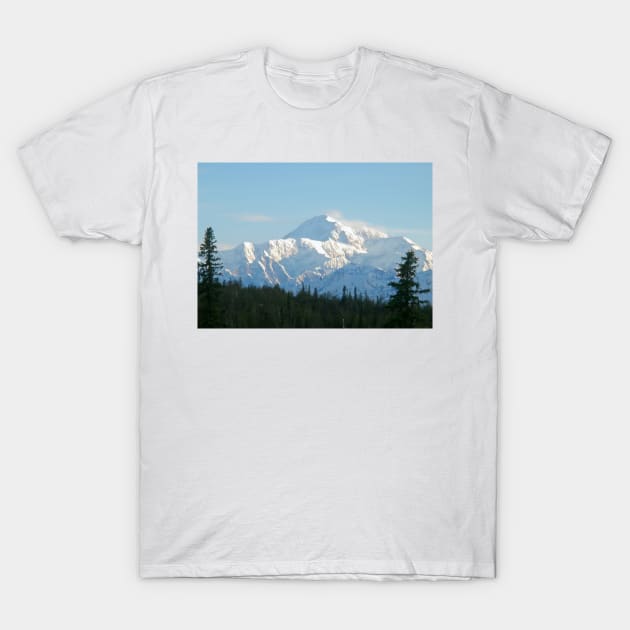 Denali, May T-Shirt by MAMMAJAMMA